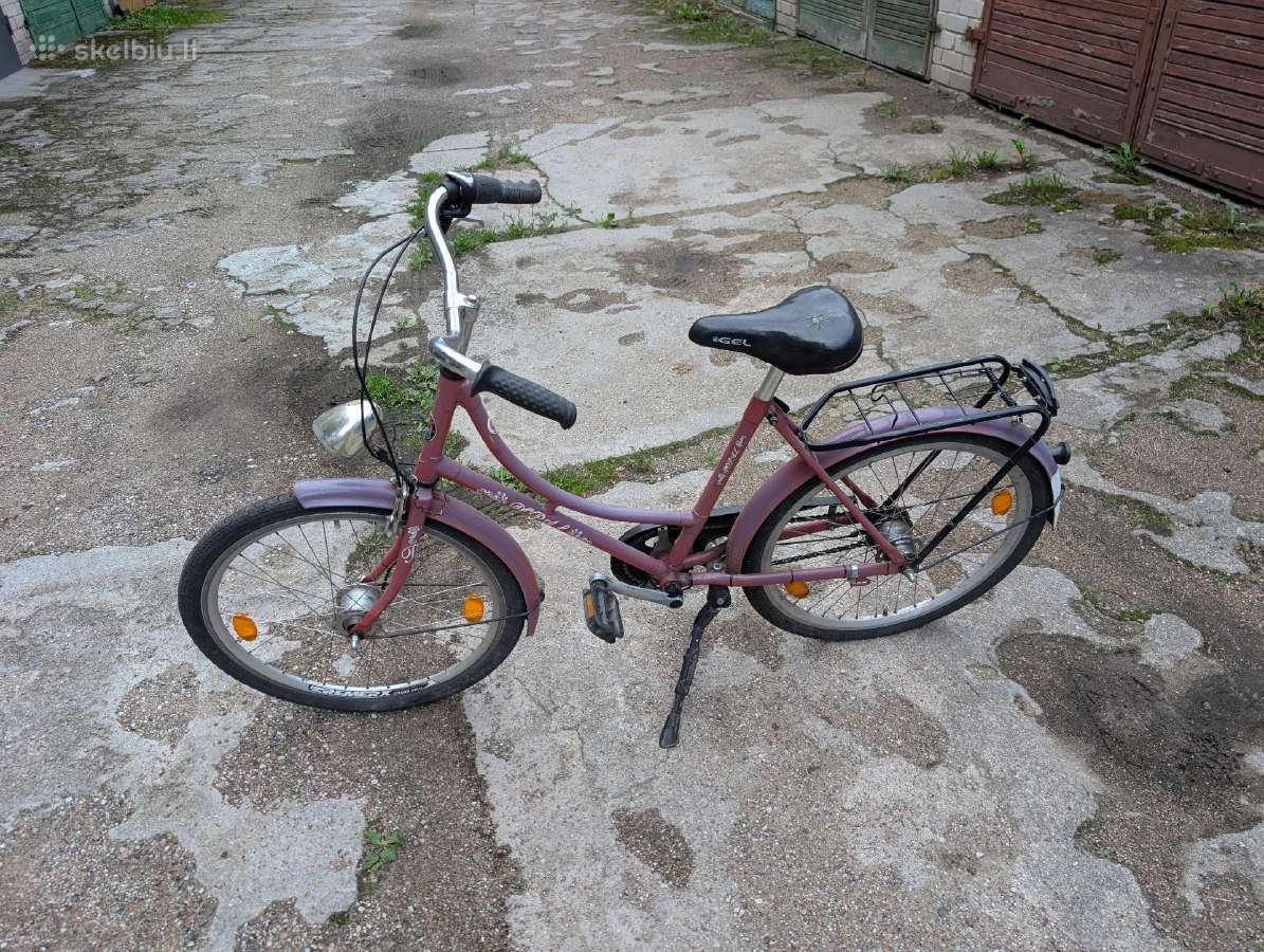 Naudotas dviratis. Reikia susitvarkyti.