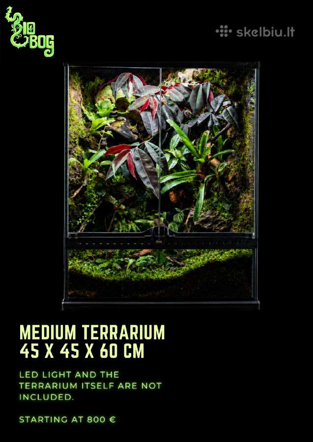 Profesionaliai įrenginėju terariumus, paludariumus - nuotraukos Nr. 5
