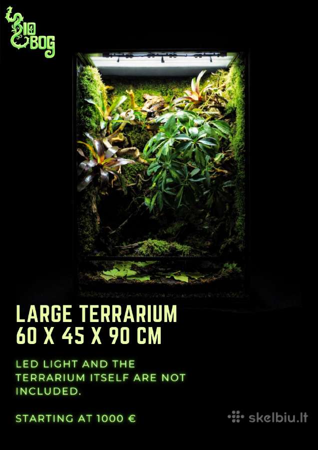 Profesionaliai įrenginėju terariumus, paludariumus - nuotraukos Nr. 7