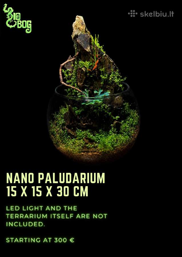 Profesionaliai įrenginėju terariumus, paludariumus - nuotraukos Nr. 8