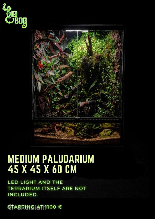 Profesionaliai įrenginėju terariumus, paludariumus - nuotraukos Nr. 12