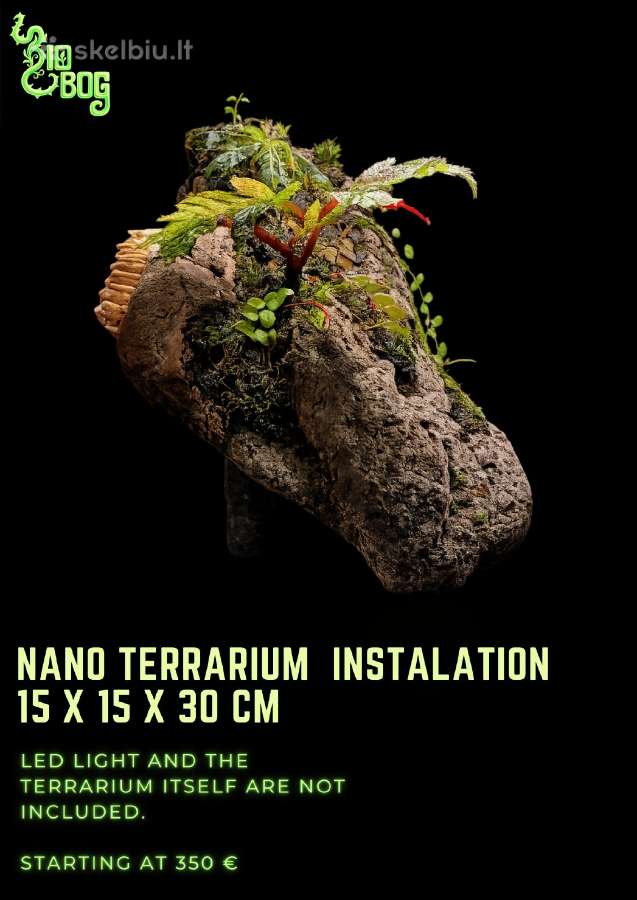 Profesionaliai įrenginėju terariumus, paludariumus - nuotraukos Nr. 15