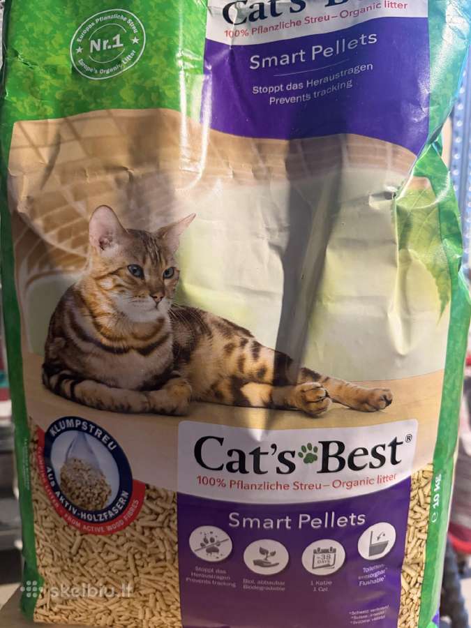 Kačių kraigas Cat's best