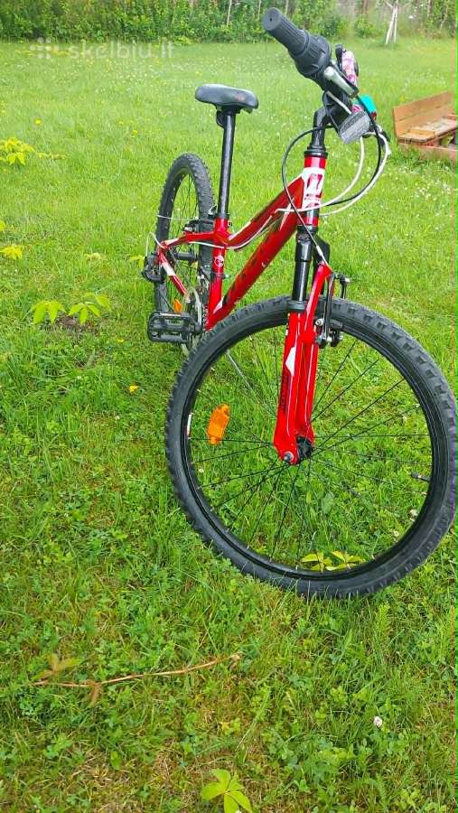 Dviratis Drag Hardy Jr 24 Red Black - nuotraukos Nr. 4