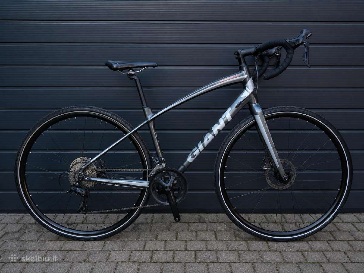 Giant anyroad M dydis