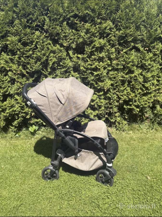 Bugaboo bee