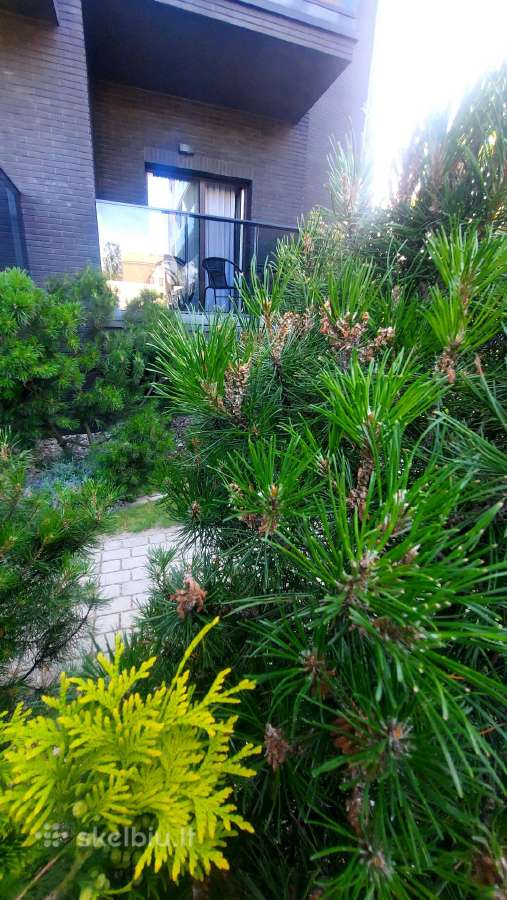 Ilgalaikei nuomai jaukus butas Palangos centre - nuotraukos Nr. 17