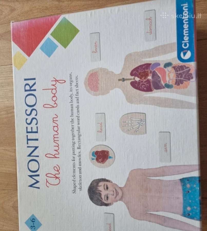 Montessori žmogaus kūnas