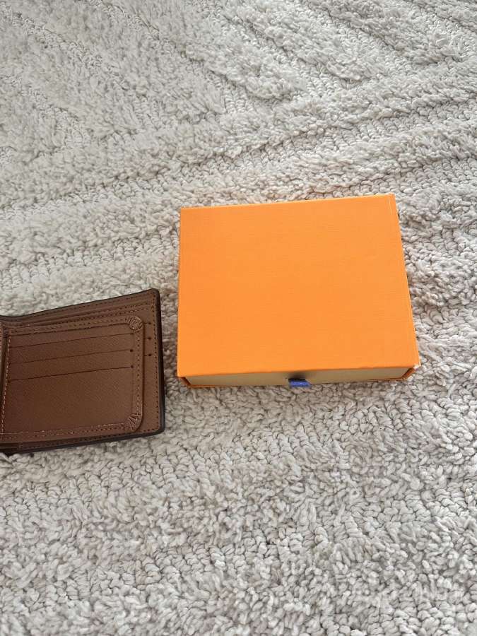 Louis Vuitton pinginė - nuotraukos Nr. 6