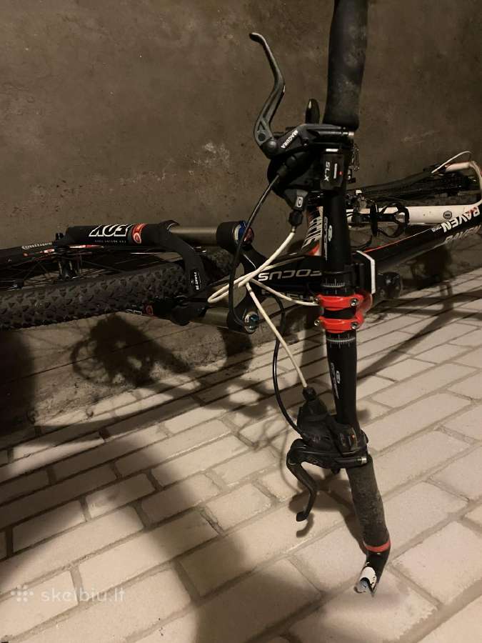 Focus carbon - nuotraukos Nr. 2