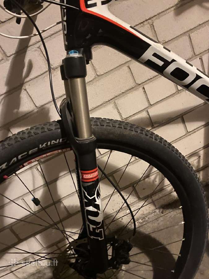 Focus carbon - nuotraukos Nr. 5