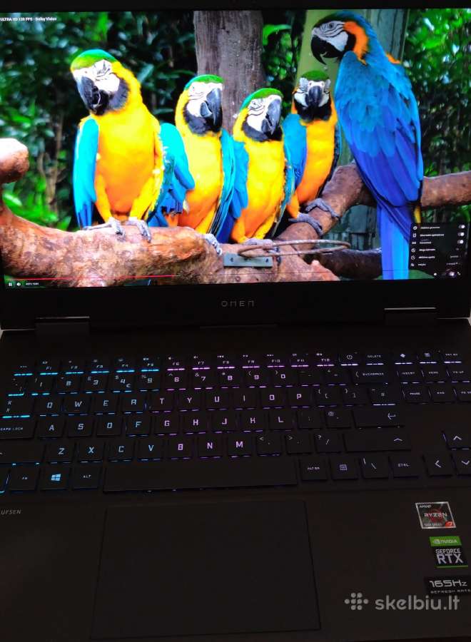 Hp Omen 15 Qhd 165hz / Ryzen 7 / Rtx 3060 Puikus