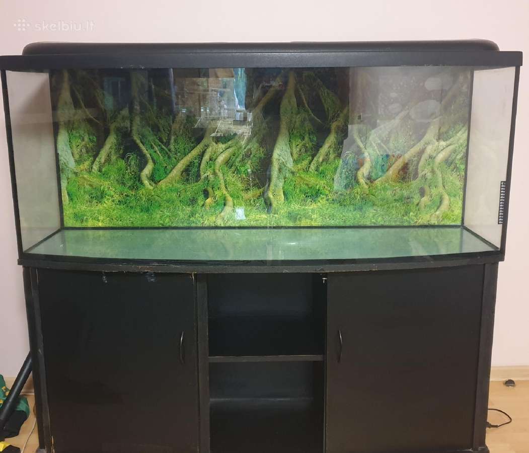 Akvariumas 500l