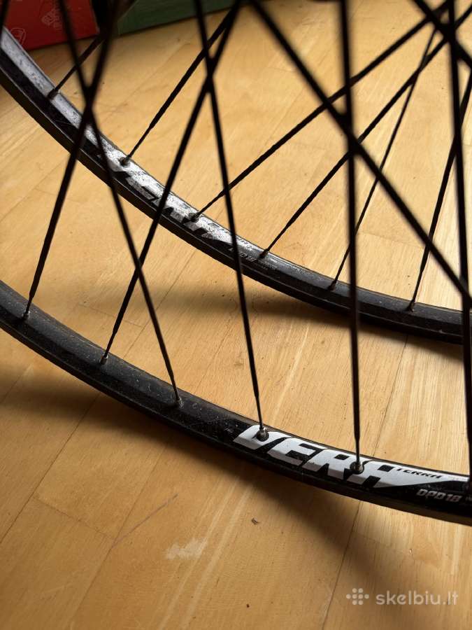 Vera Terra Dpd 19 dviračio ratai