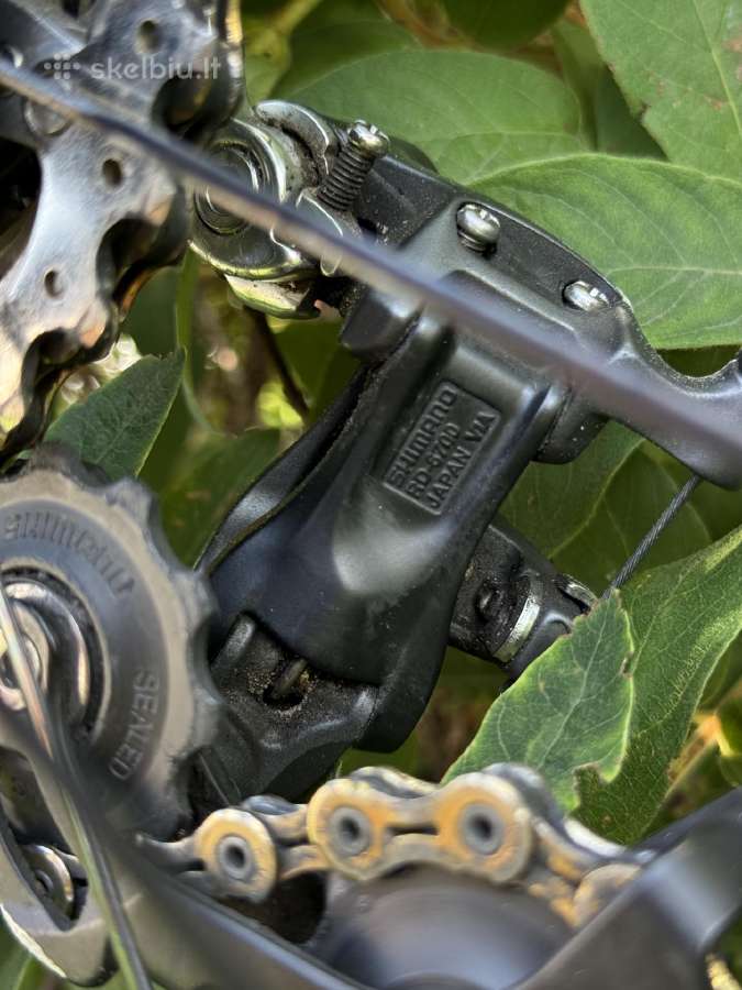 Bianchi Infinito carbon plento M dviratis 54 - nuotraukos Nr. 11