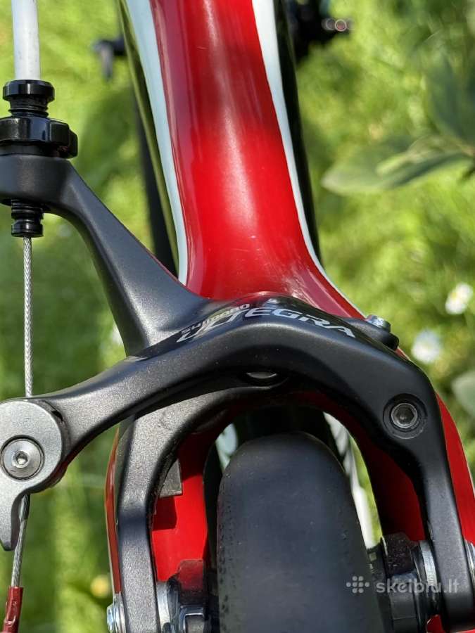 Bianchi Infinito carbon plento M dviratis 54 - nuotraukos Nr. 15