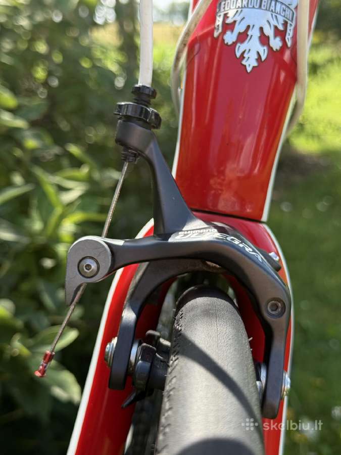 Bianchi Infinito carbon plento M dviratis 54 - nuotraukos Nr. 16