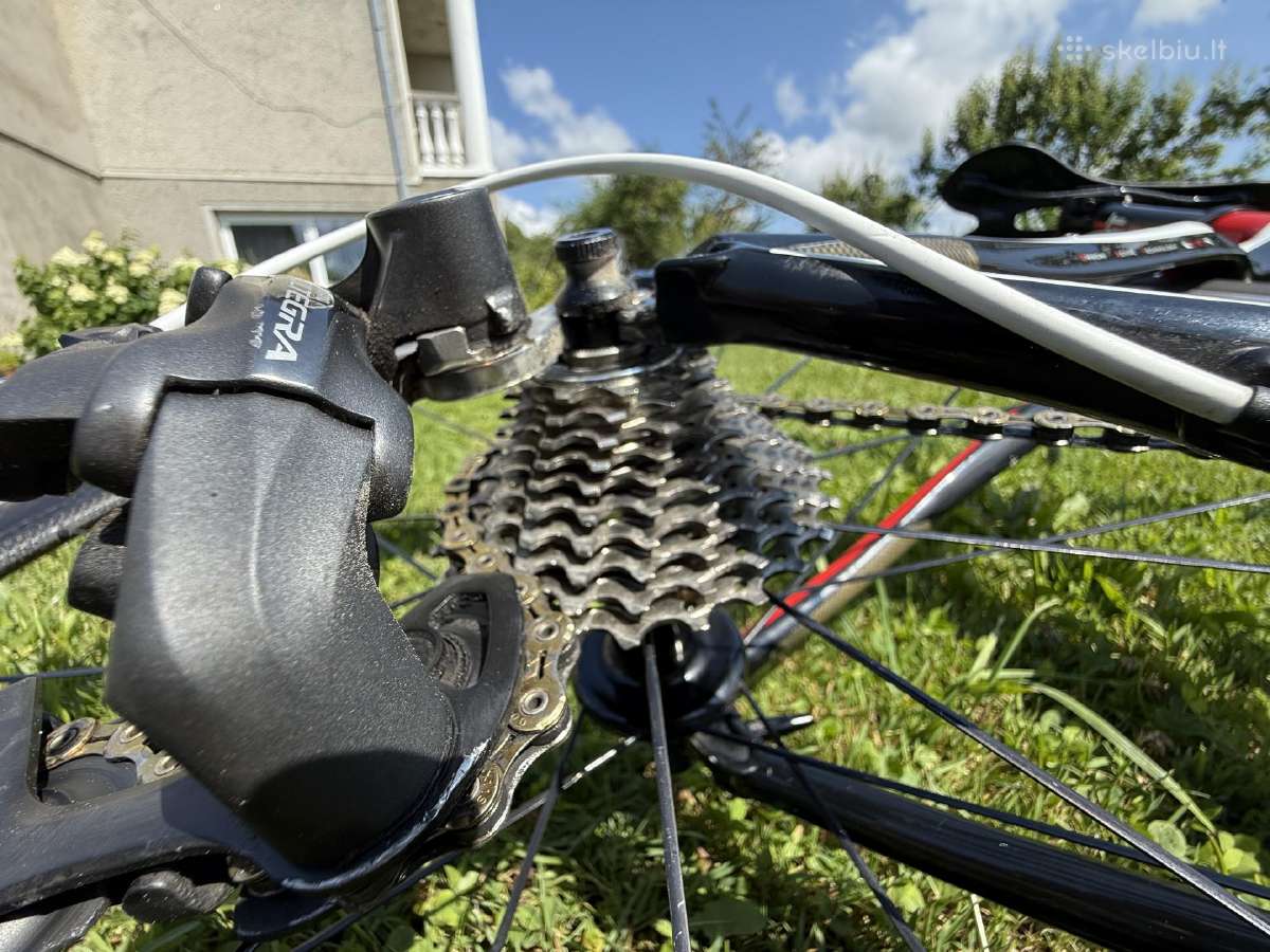 Bianchi Infinito carbon plento M dviratis 54 - nuotraukos Nr. 20