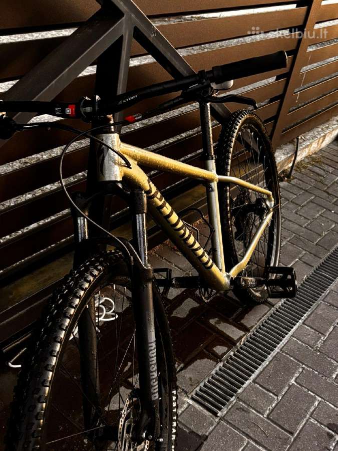 Specialized Rockhopper 2025 Comp Spruce - nuotraukos Nr. 2