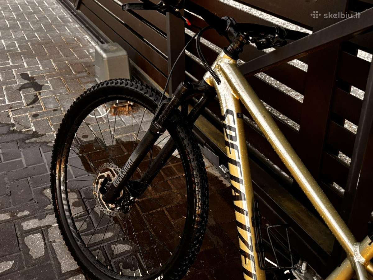Specialized Rockhopper 2025 Comp Spruce - nuotraukos Nr. 11