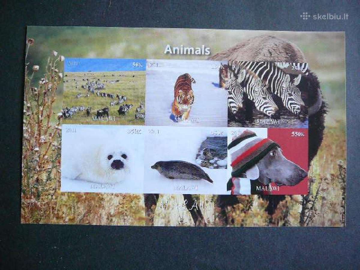 Zebrai Ruoniai Tigrai Malavis 2011 Mnh m1883b