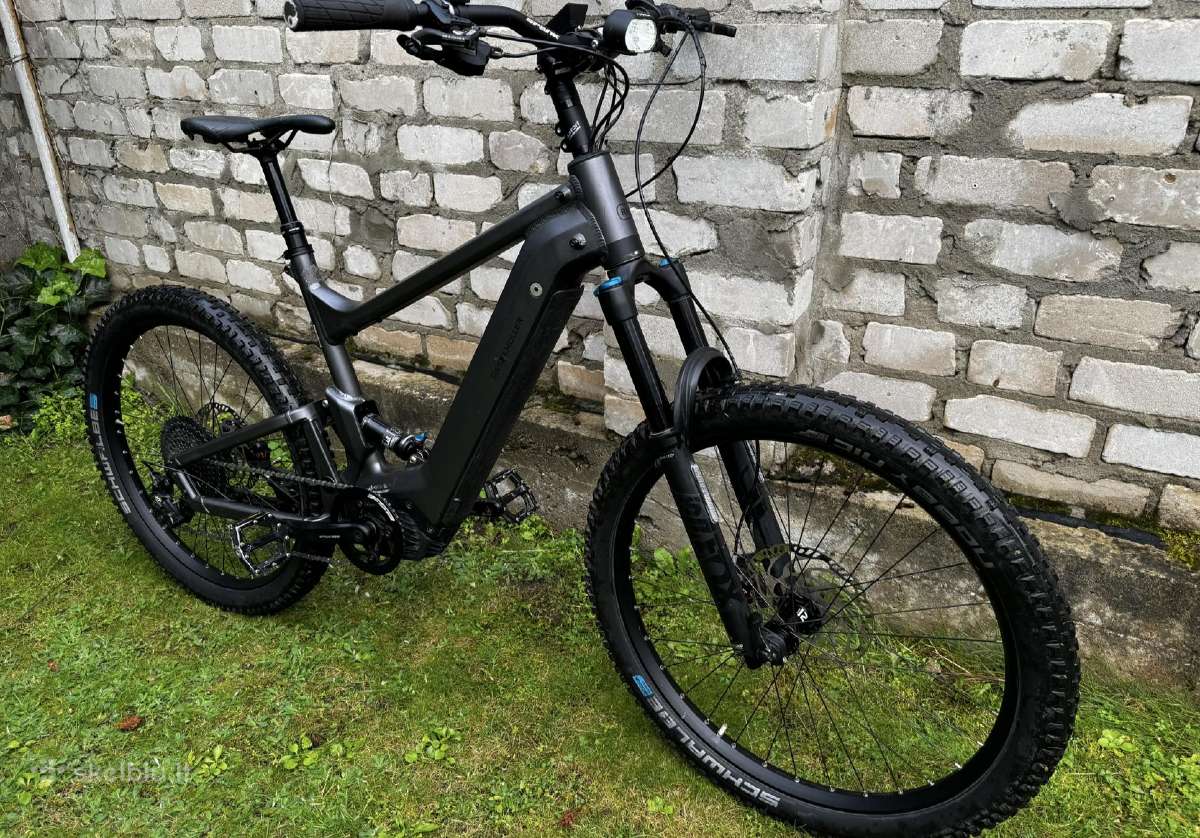 Riese Müller Delite mountain touring