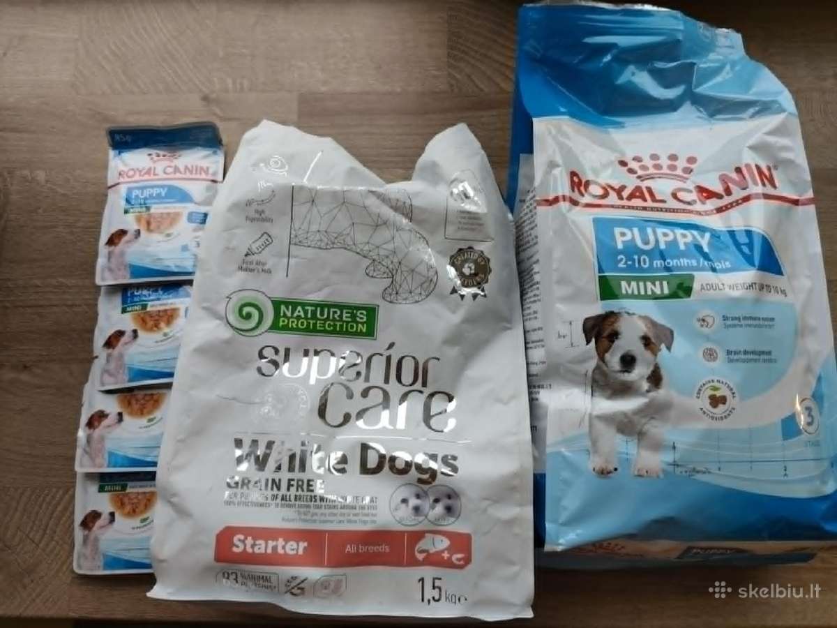 Jauniems šunims skirtas maistas