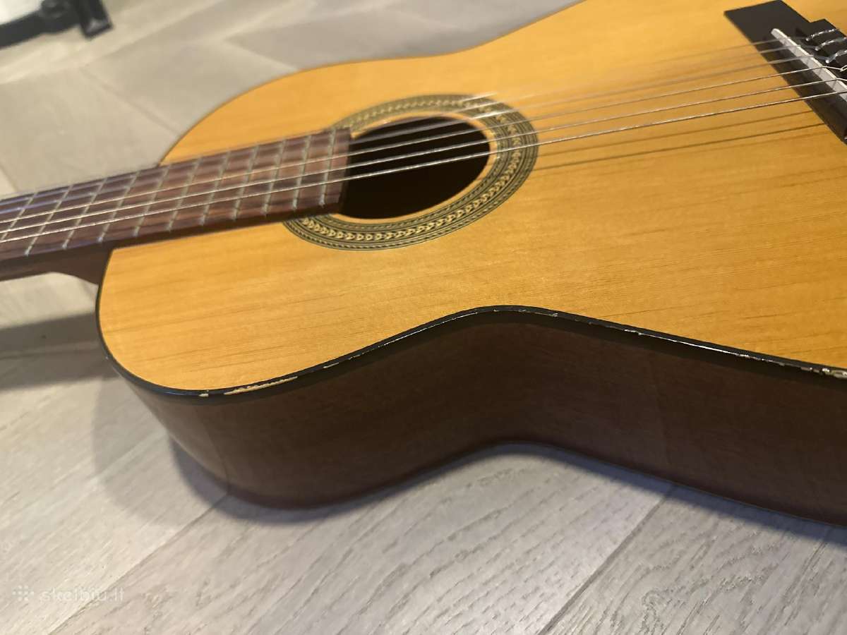 Gitara admira Fhesta - nuotraukos Nr. 2