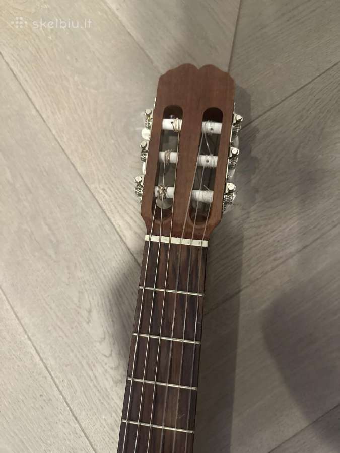 Gitara admira Fhesta - nuotraukos Nr. 4