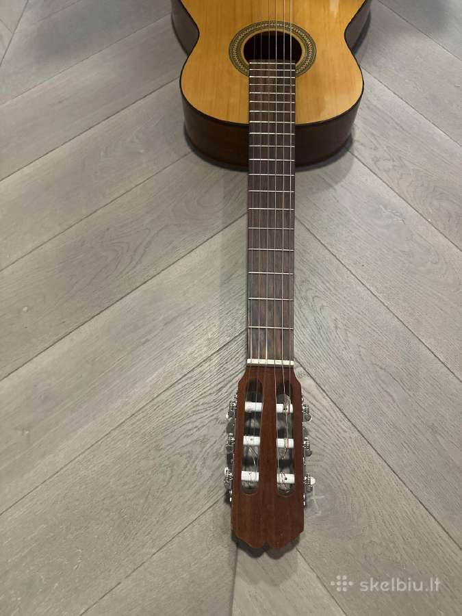 Gitara admira Fhesta - nuotraukos Nr. 5