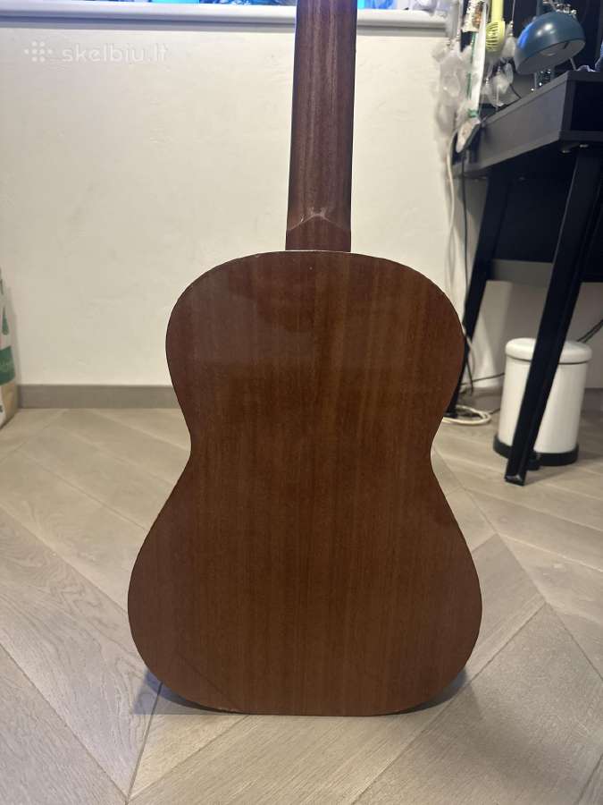 Gitara admira Fhesta - nuotraukos Nr. 6