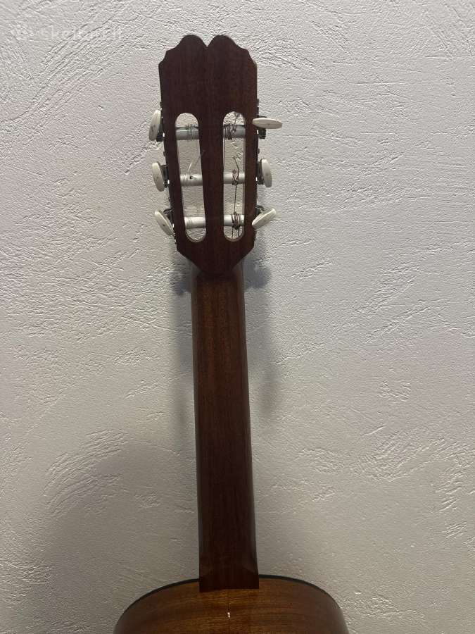 Gitara admira Fhesta - nuotraukos Nr. 7