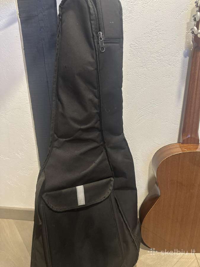 Gitara admira Fhesta - nuotraukos Nr. 8