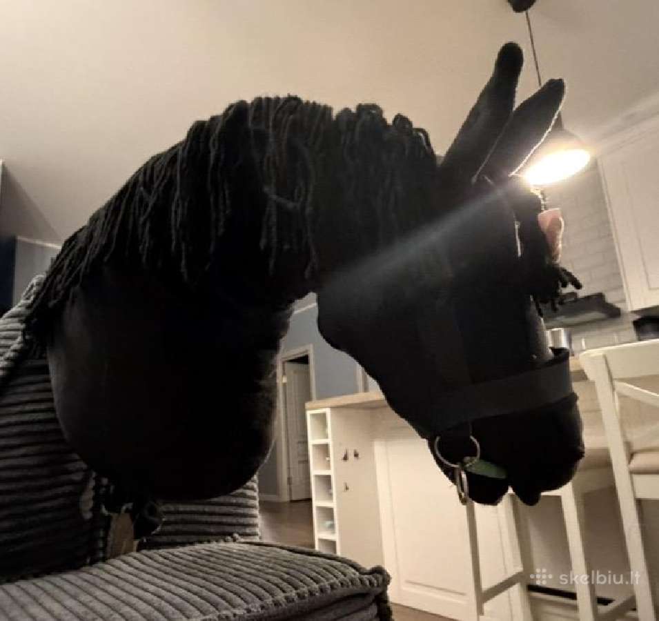 Juodas hobby horse