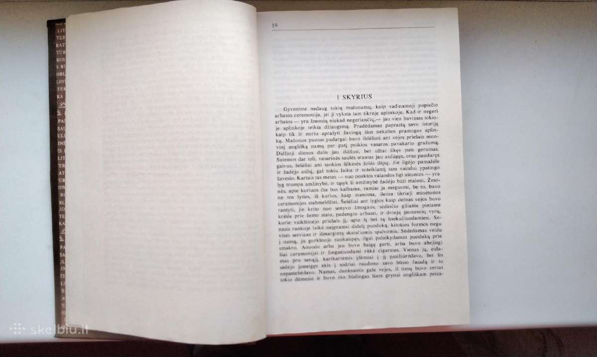 H. Džeimsas. Moters portretas. 1991 m.leid. - nuotraukos Nr. 4