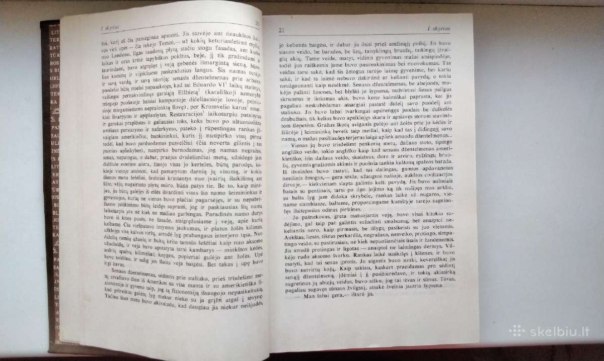 H. Džeimsas. Moters portretas. 1991 m.leid. - nuotraukos Nr. 5