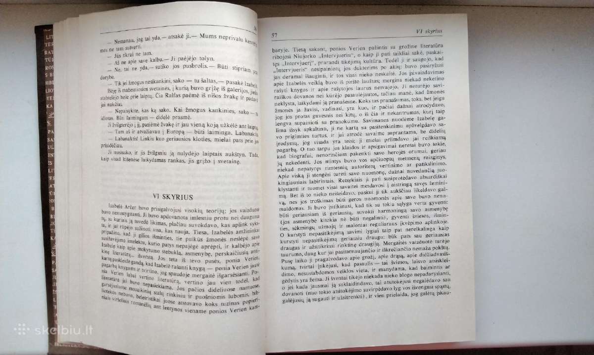 H. Džeimsas. Moters portretas. 1991 m.leid. - nuotraukos Nr. 7