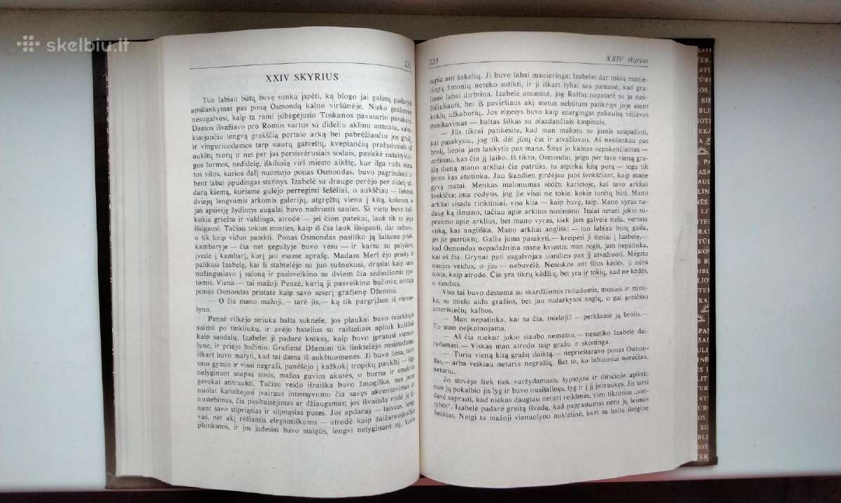 H. Džeimsas. Moters portretas. 1991 m.leid. - nuotraukos Nr. 9