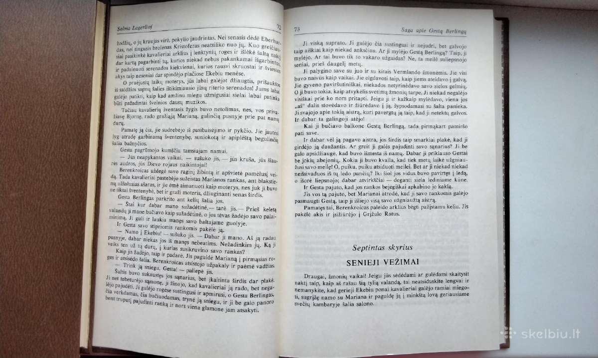Saga apie Gestą Berlingą. Nykštukas. Sibilė. 1989 - nuotraukos Nr. 7