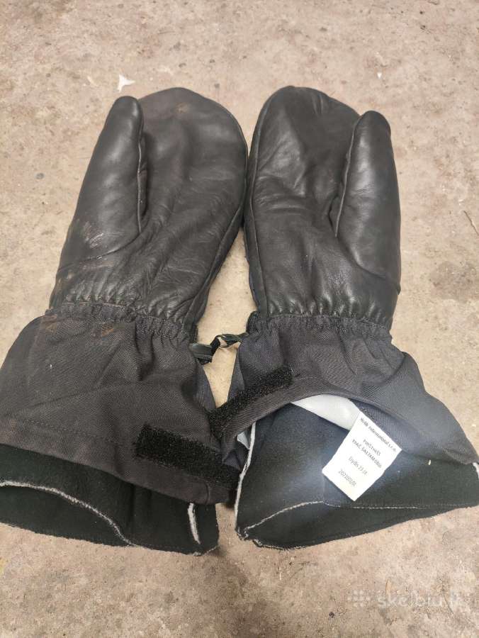 Kariskos siltos pirstines