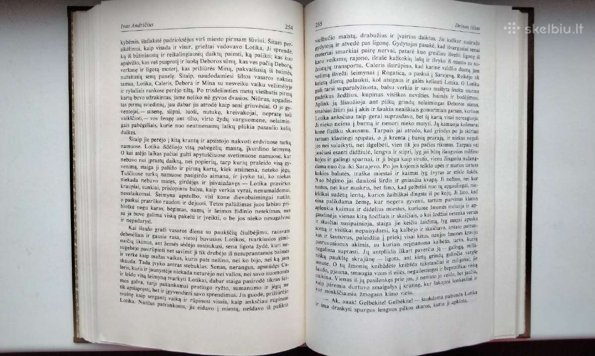 Drinos tiltas. Ant proto ribos. 1988 m. - nuotraukos Nr. 7