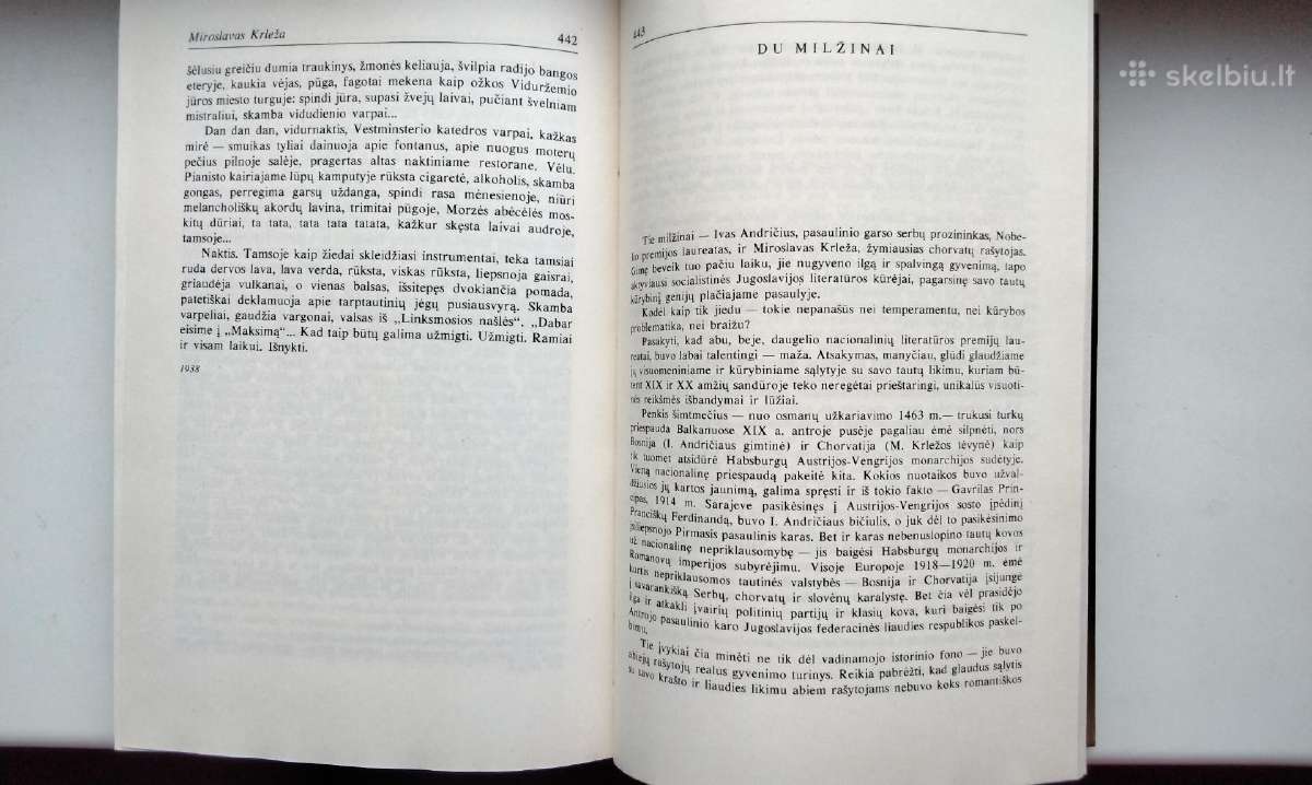Drinos tiltas. Ant proto ribos. 1988 m. - nuotraukos Nr. 12