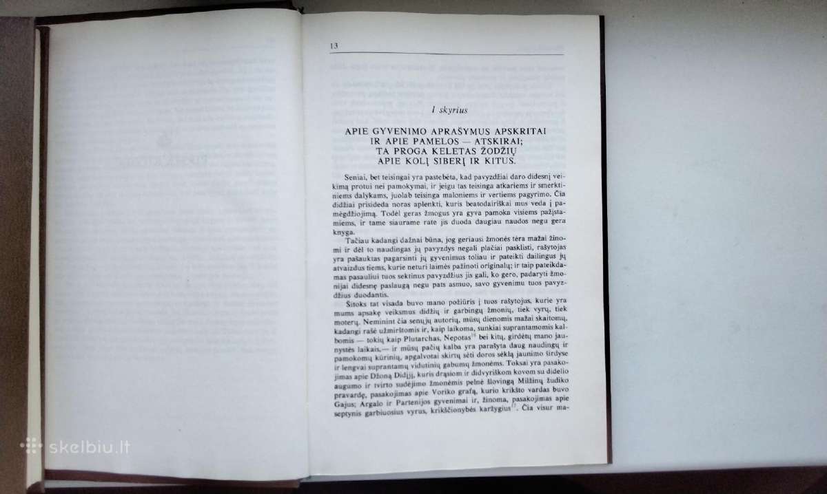 H. Fildingas. Džozefo Endriuso ir jo draugo 1988 m - nuotraukos Nr. 4