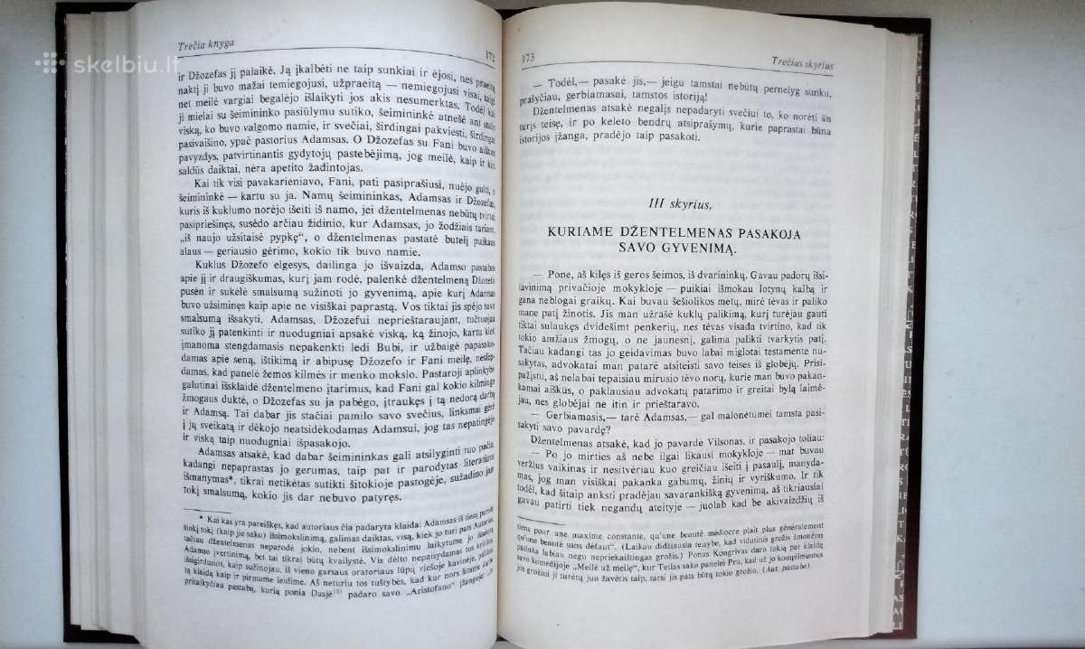 H. Fildingas. Džozefo Endriuso ir jo draugo 1988 m - nuotraukos Nr. 10