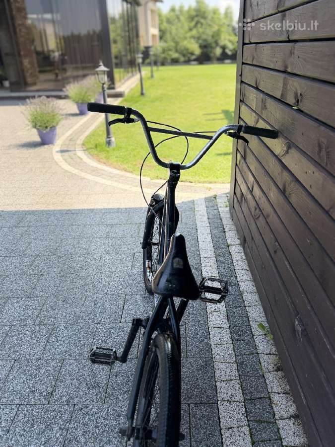 Definitive strike 20 BMX - nuotraukos Nr. 2