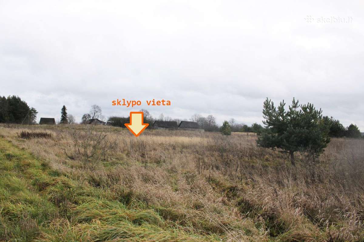20 arų sklypas Arnionių II k., Molėtų r. - nuotraukos Nr. 4