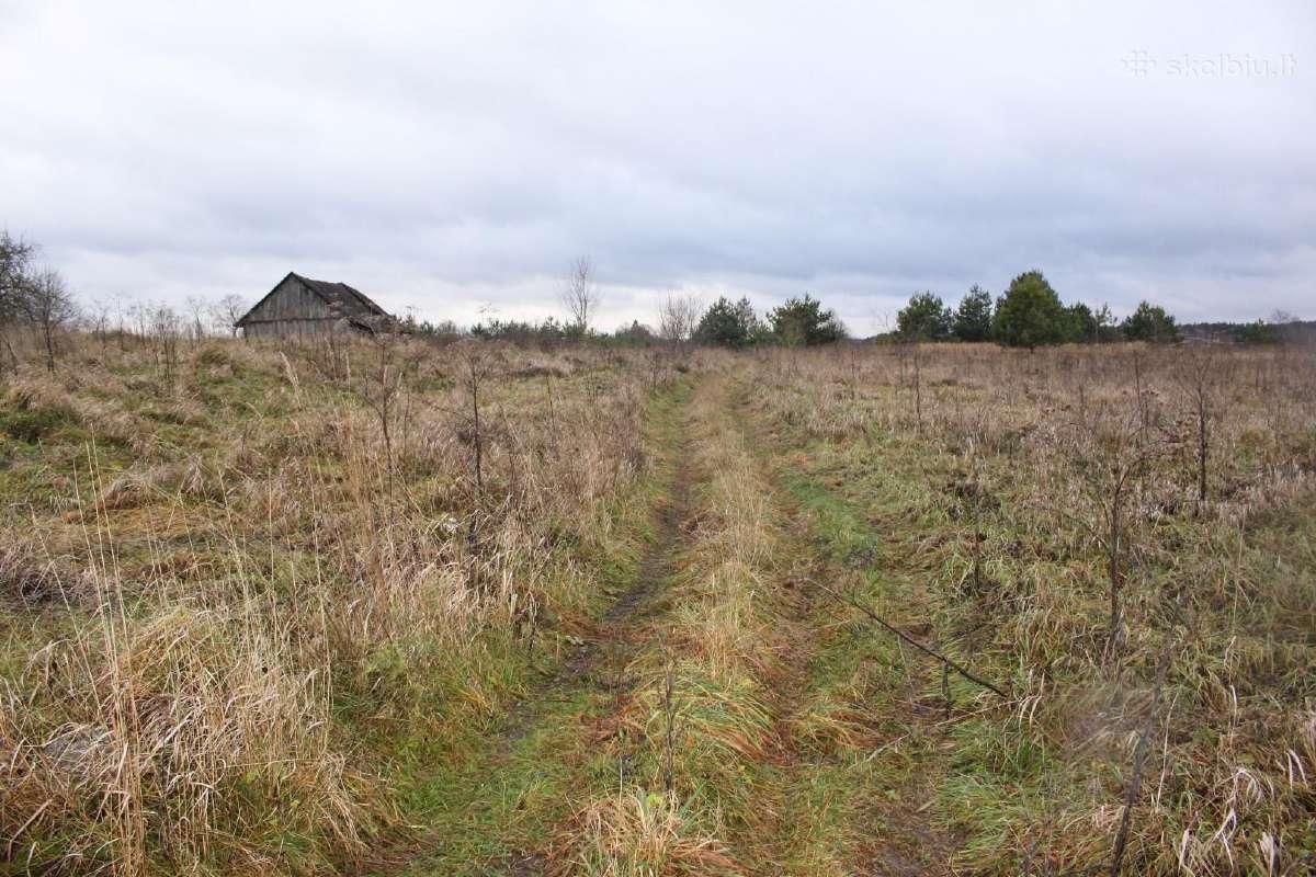 20 arų sklypas Arnionių II k., Molėtų r. - nuotraukos Nr. 9