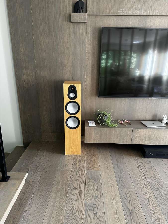 Grindinės kolonėlės Audio Monitor - Silver 500 (7g