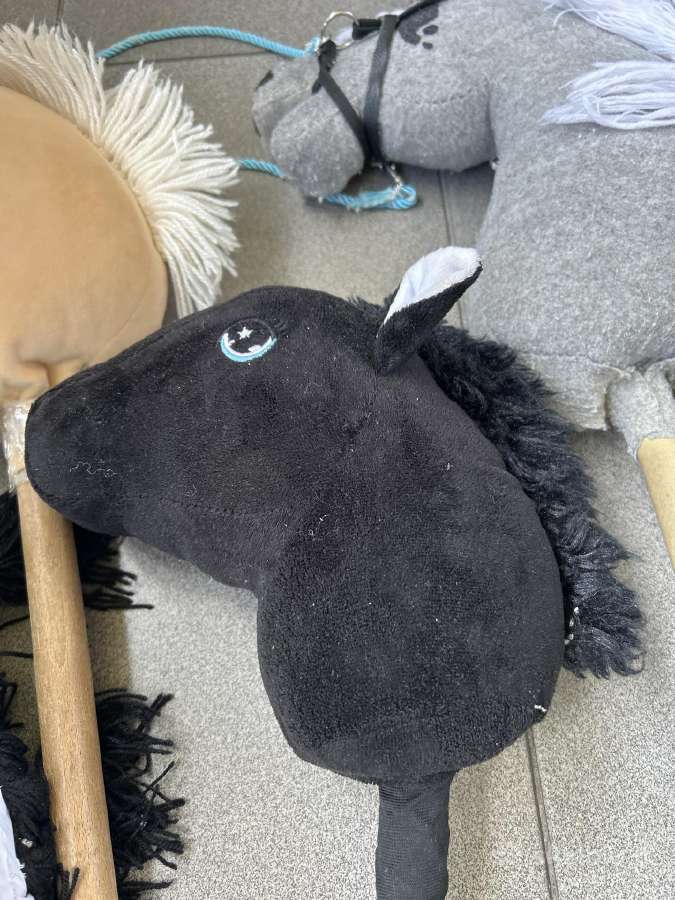 Hobby horsing žirgai - nuotraukos Nr. 3