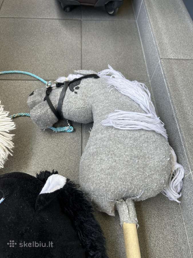 Hobby horsing žirgai - nuotraukos Nr. 4